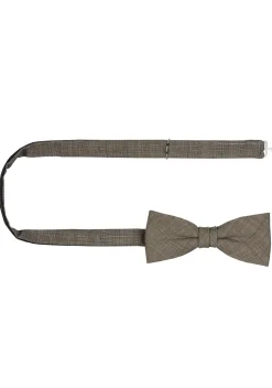 Accessoires Box Cg Paxton