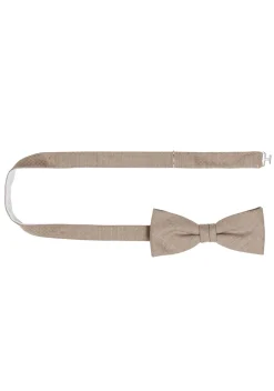 Accessoires Box Cg Paxton
