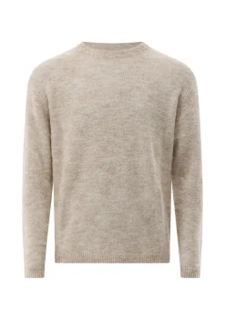 Grobstrick Pullover Cg Bear